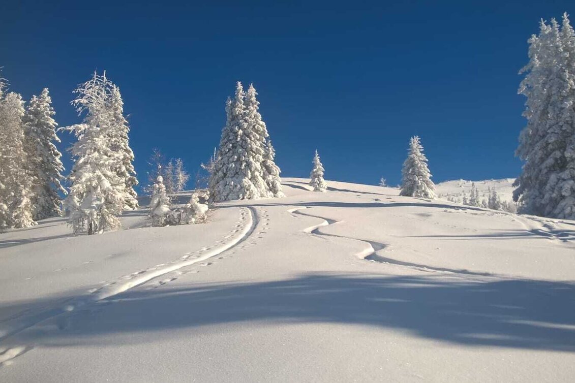 Skitour Gstoder ab Seetal - Touren-Impression #1 | © Tourismusverband Murau