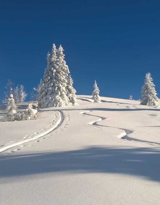 Skitour Gstoder | Johannes Prodinger | © Tourismusverband Murau