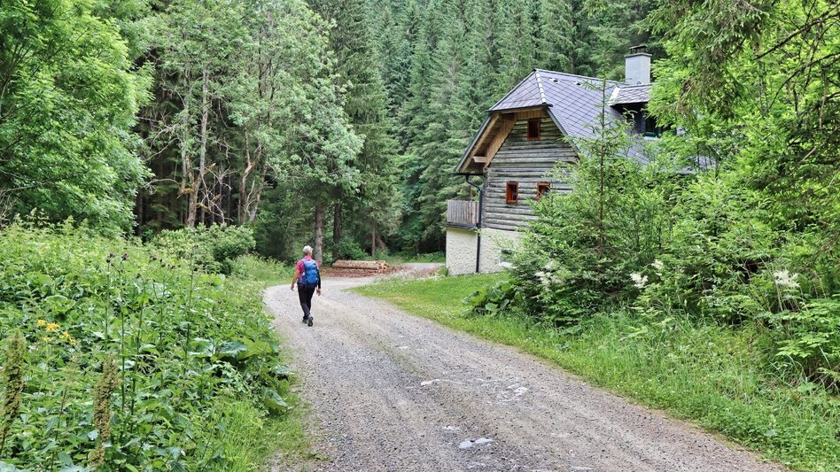 Hiking route Steinplan from the Rachau - Augerlgraben - Touren-Impression #2.2 | © Weges OG