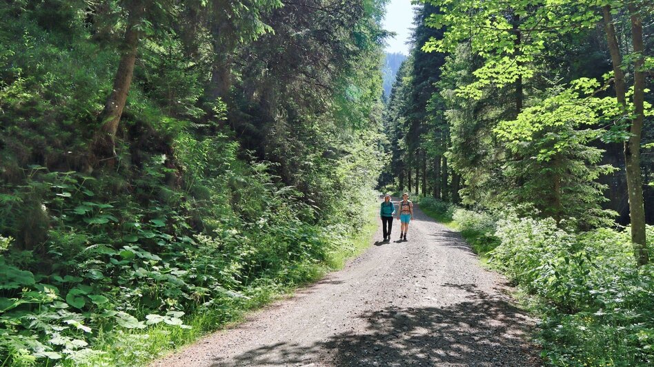 Hiking route Steinplan from the Rachau - Augerlgraben - Touren-Impression #2.3 | © Weges OG