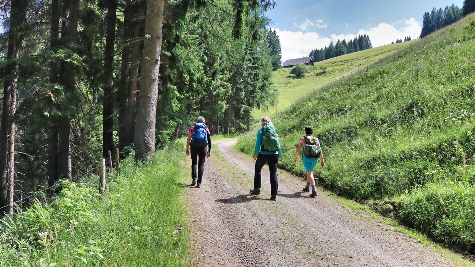 Hiking route Steinplan from the Rachau - Augerlgraben - Touren-Impression #2.4 | © Weges OG