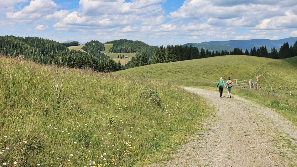 Hiking route Steinplan from the Rachau - Augerlgraben - Touren-Impression #2.5 | © Weges OG