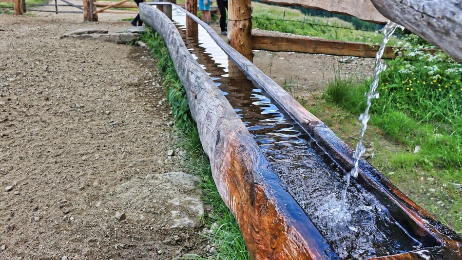 Hiking route Steinplan from the Rachau - Augerlgraben - Touren-Impression #2.6 | © Weges OG