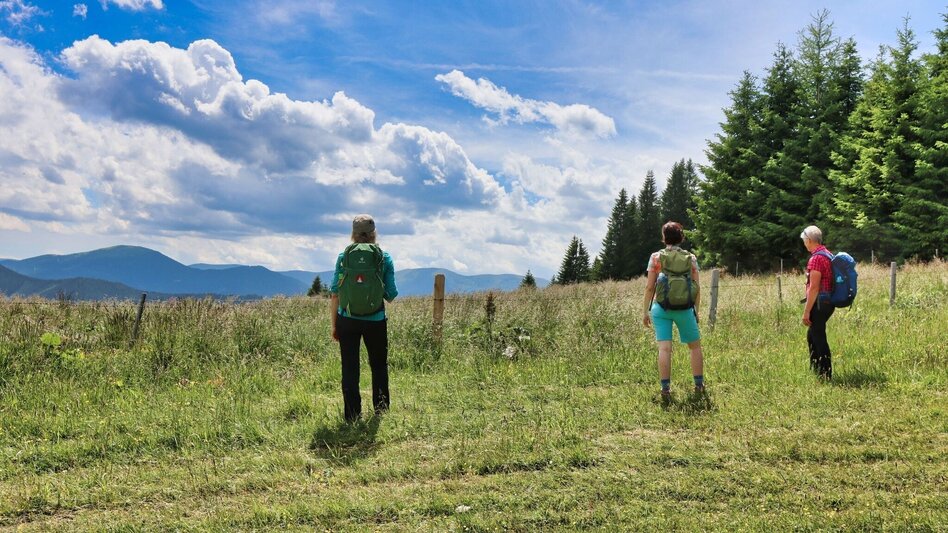 Hiking route Steinplan from the Rachau - Augerlgraben - Touren-Impression #2.8 | © Weges OG