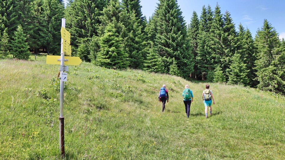 Hiking route Steinplan from the Rachau - Augerlgraben - Touren-Impression #2.9 | © Weges OG