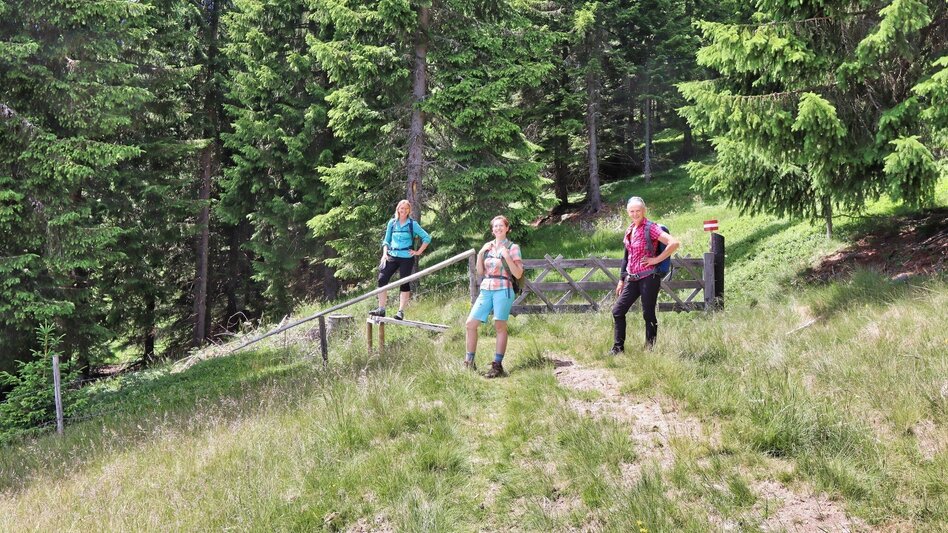 Hiking route Steinplan from the Rachau - Augerlgraben - Touren-Impression #2.10 | © Weges OG