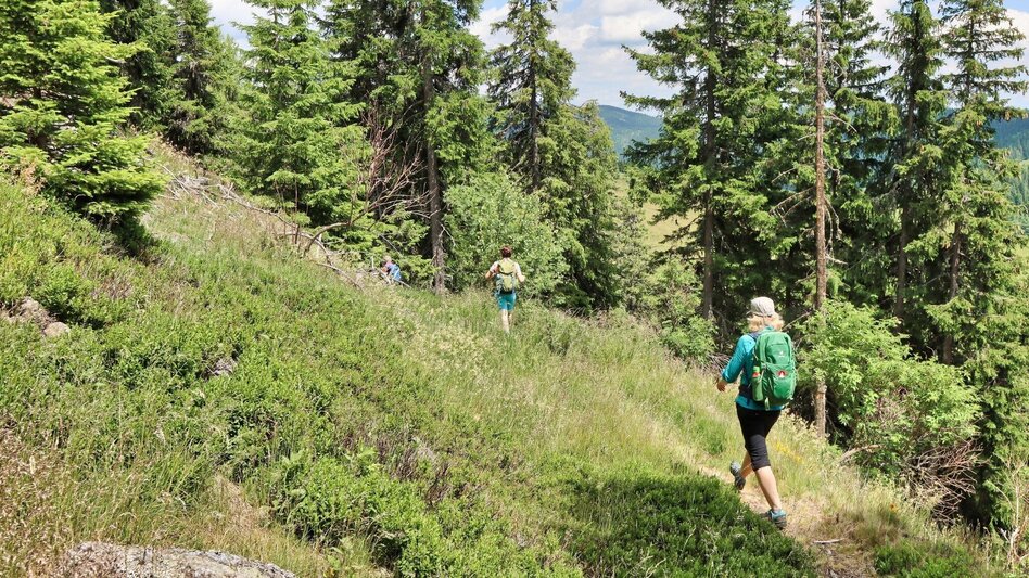 Hiking route Steinplan from the Rachau - Augerlgraben - Touren-Impression #2.11 | © Weges OG