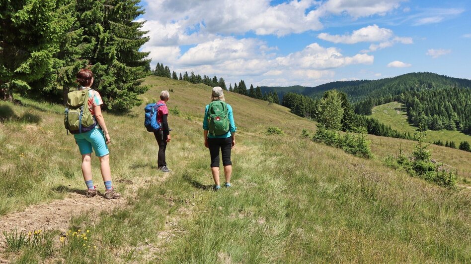 Hiking route Steinplan from the Rachau - Augerlgraben - Touren-Impression #2.12 | © Weges OG