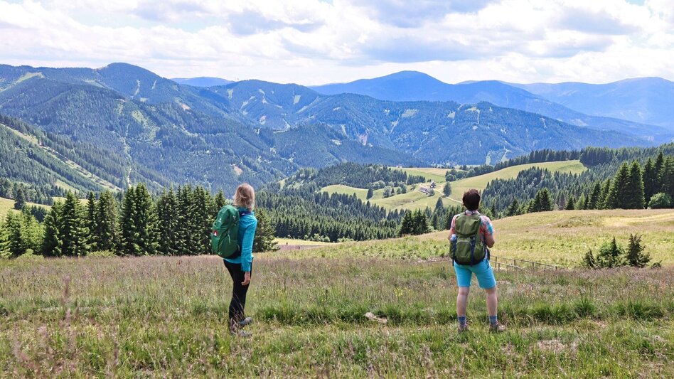 Hiking route Steinplan from the Rachau - Augerlgraben - Touren-Impression #2.1 | © Weges OG