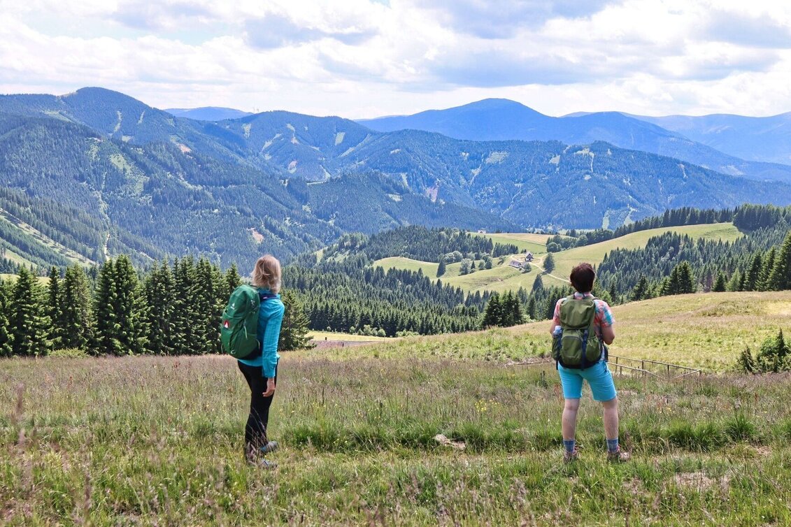 Hiking route Steinplan from the Rachau - Augerlgraben - Touren-Impression #1 | © Weges OG