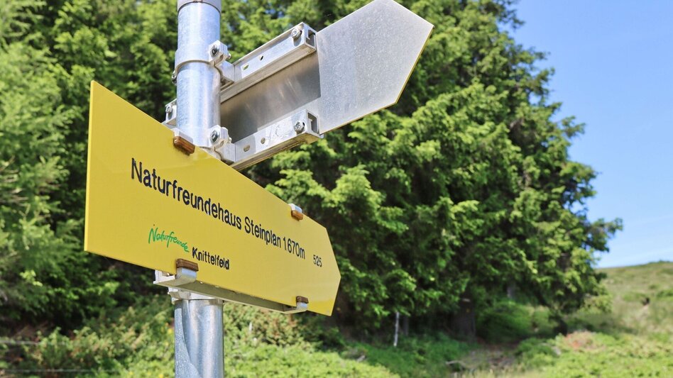 Hiking route Steinplan from the Rachau - Augerlgraben - Touren-Impression #2.13 | © Weges OG