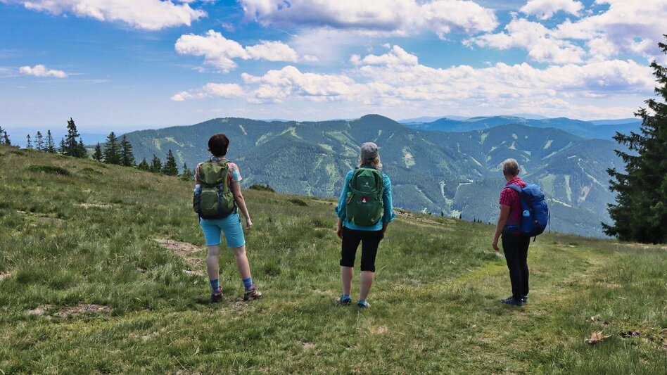 Hiking route Steinplan from the Rachau - Augerlgraben - Touren-Impression #2.15 | © Weges OG