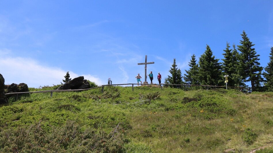 Hiking route Steinplan from the Rachau - Augerlgraben - Touren-Impression #2.17 | © Weges OG