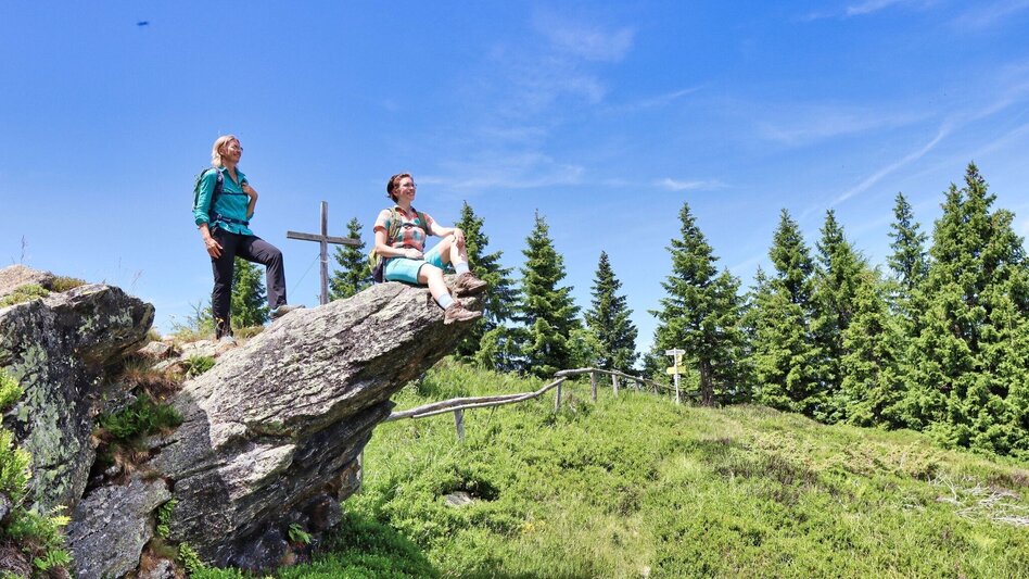 Hiking route Steinplan from the Rachau - Augerlgraben - Touren-Impression #2.18 | © Weges OG