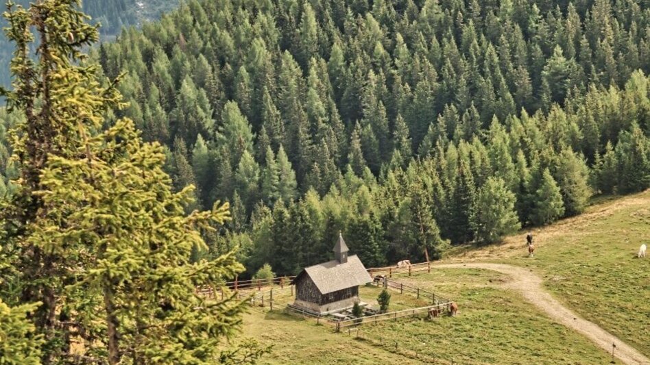 Wanderung Kesseleck - 4 Gipfelwanderung - Touren-Impression #2.3 | © Weges