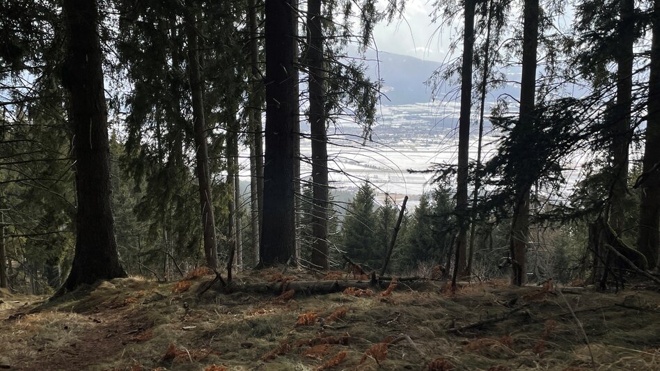 Hiking route Flatschacher Höhe - Touren-Impression #2.5 | © Erlebnisregion Murtal