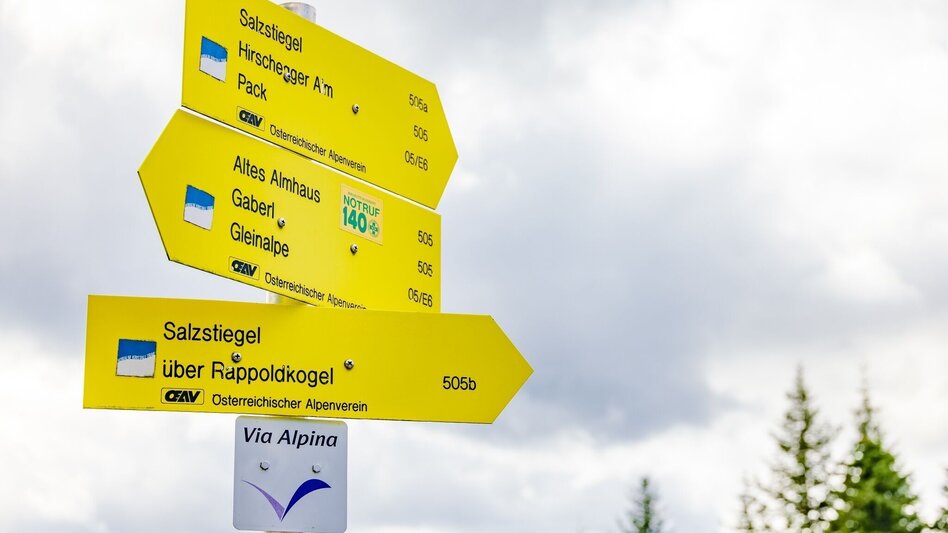 Wanderung Rappoldkogel-Runde vom Alten Almhaus - Touren-Impression #2.5 | © Erlebnisregion Murtal