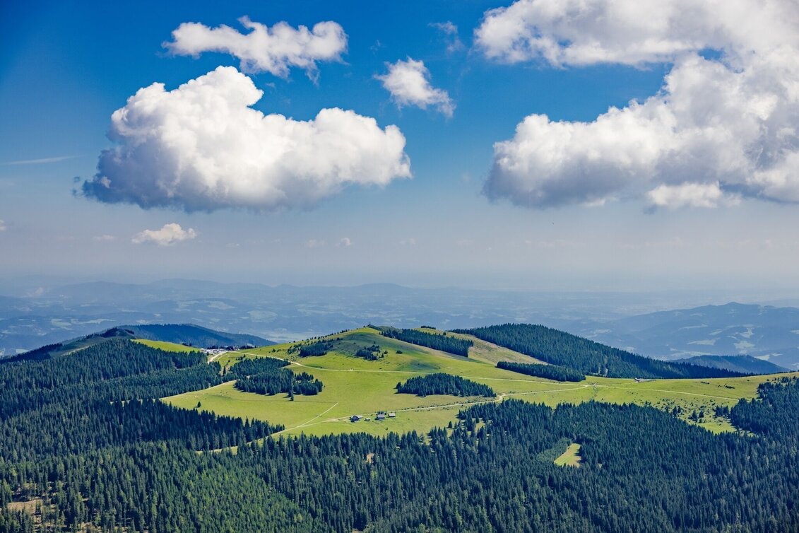 Wanderung Rappoldkogel-Runde vom Alten Almhaus - Touren-Impression #1 | © Erlebnisregion Murtal