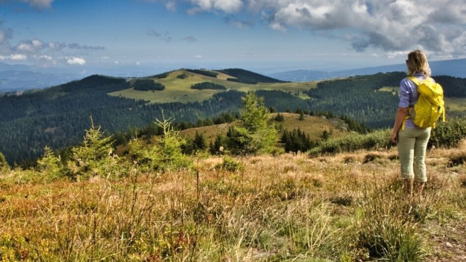 Wanderung Rappoldkogel-Runde vom Alten Almhaus - Touren-Impression #2.6 | © Weges OG