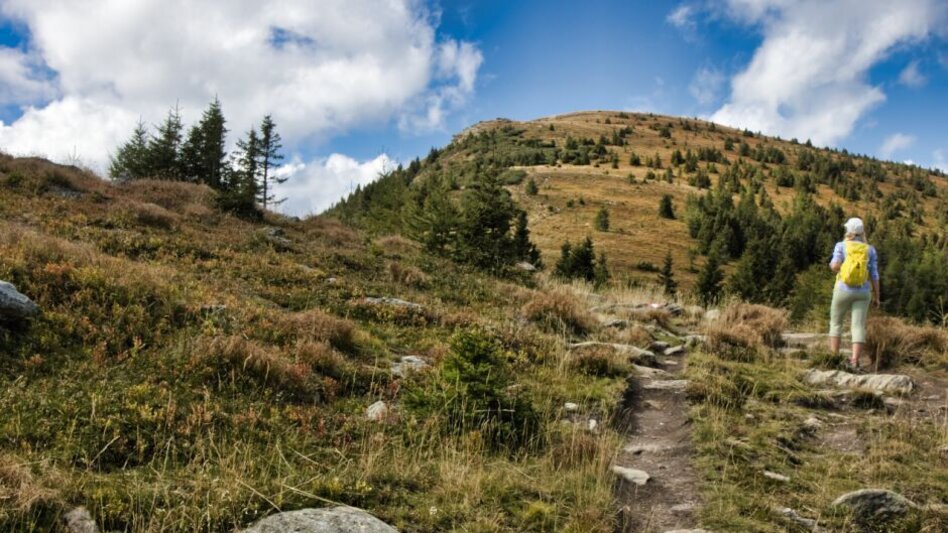 Wanderung Rappoldkogel-Runde vom Alten Almhaus - Touren-Impression #2.8 | © Weges OG