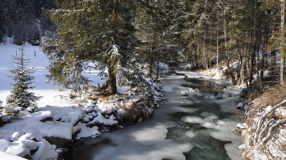 Winter Hiking Winter hike to the Rantental - Touren-Impression #2.1 | © Tourismusverband Murau