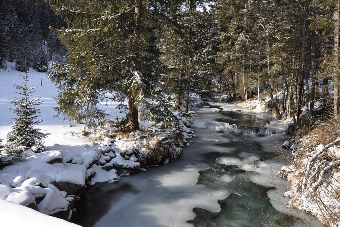 Winter Hiking Winter hike to the Rantental - Touren-Impression #1 | © Tourismusverband Murau