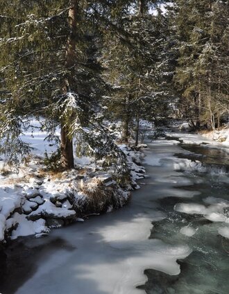 Rantenbach | Ewald Siebenhofer | © Tourismusverband Murau