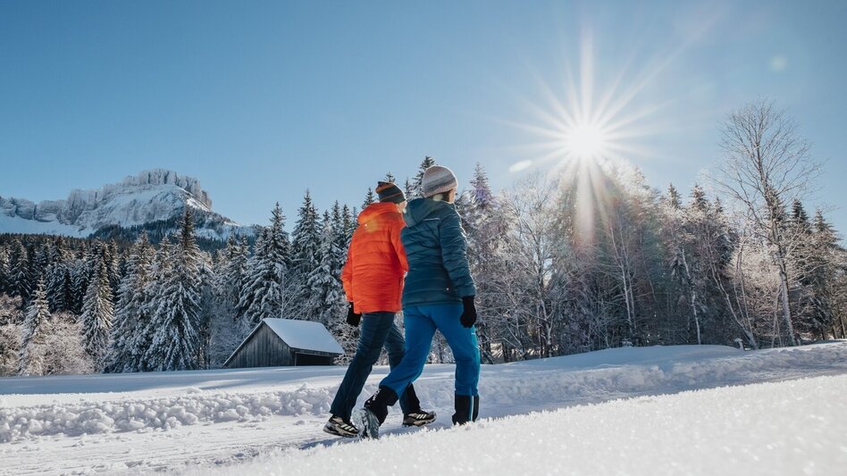 Winter Hiking Winter hike Blaa Alm - Touren-Impression #2.4 | © Ausseerland