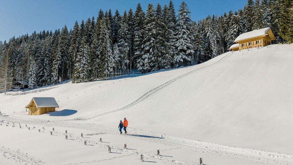 Winter Hiking Winter hike Blaa Alm - Touren-Impression #2.5 | © Tourismusverband Ausseerland Salzkammergut