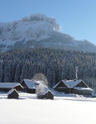 winterwanderung blaa alm_img_21773964 | © Ausseerland