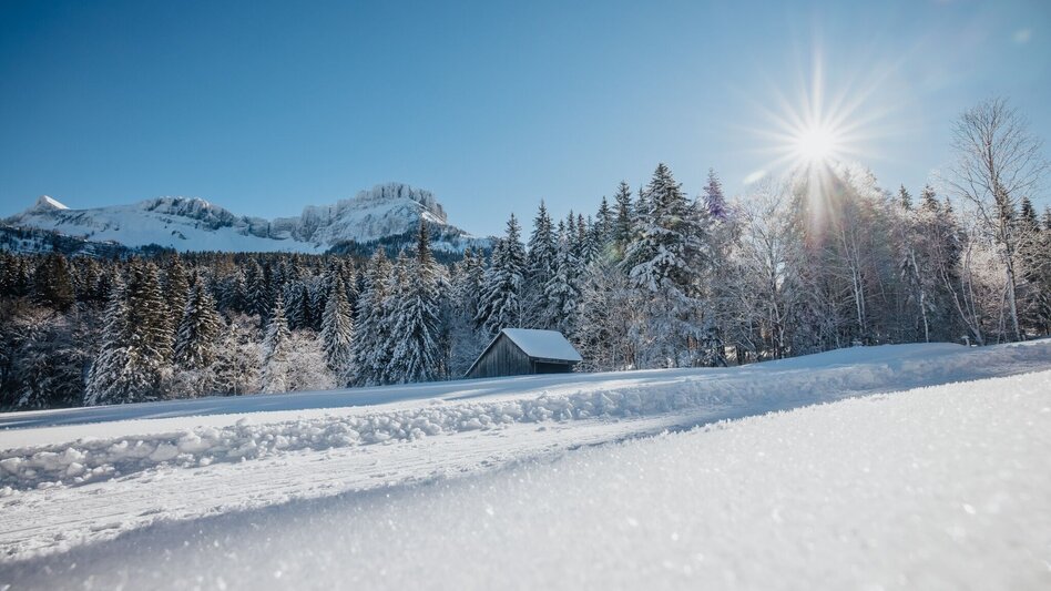Winter Hiking Winter hike from the Loser Ski Arena to the Blaa Alm - Touren-Impression #2.1 | © Ausseerland