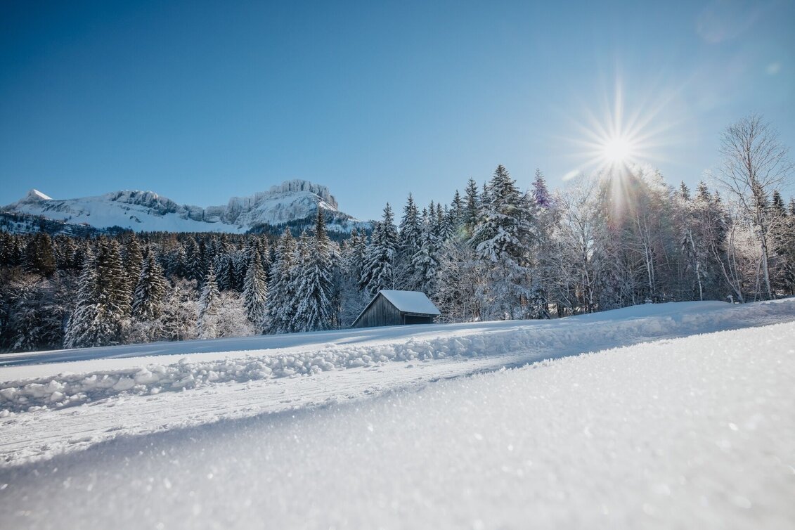Winter Hiking Winter hike from the Loser Ski Arena to the Blaa Alm - Touren-Impression #1 | © Ausseerland