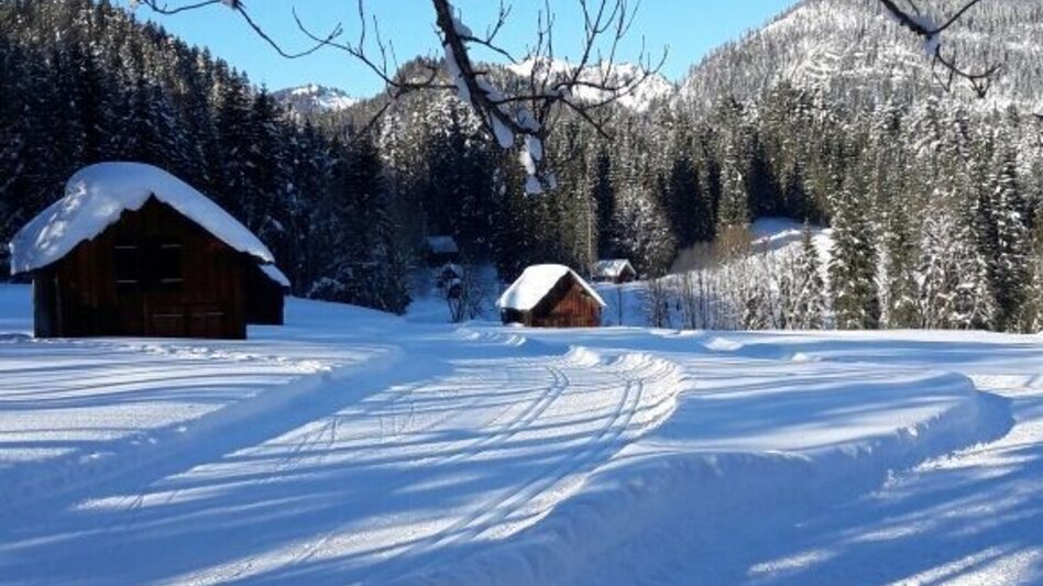 Winter Hiking Winter hike from the Loser Ski Arena to the Blaa Alm - Touren-Impression #2.2 | © Tourismusverband Ausseerland-Salzkammergut_Hermann Rastl