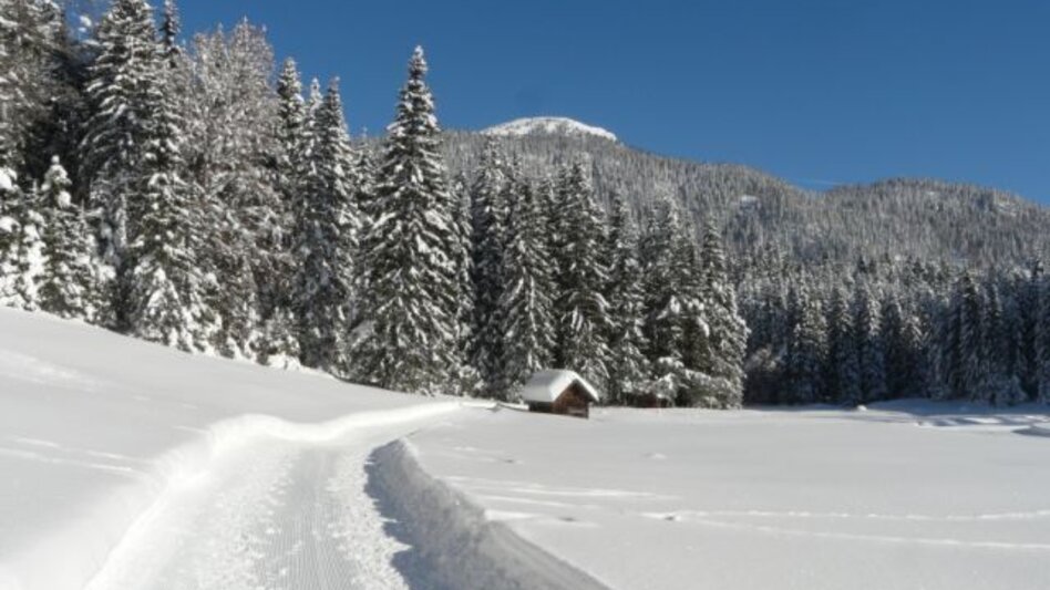 Winter Hiking Winter hike from the Loser Ski Arena to the Blaa Alm - Touren-Impression #2.3 | © Ausseerland