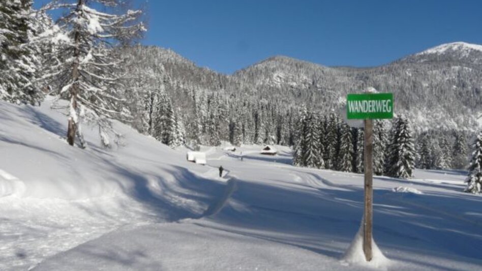 Winter Hiking Winter hike from the Loser Ski Arena to the Blaa Alm - Touren-Impression #2.4 | © Ausseerland