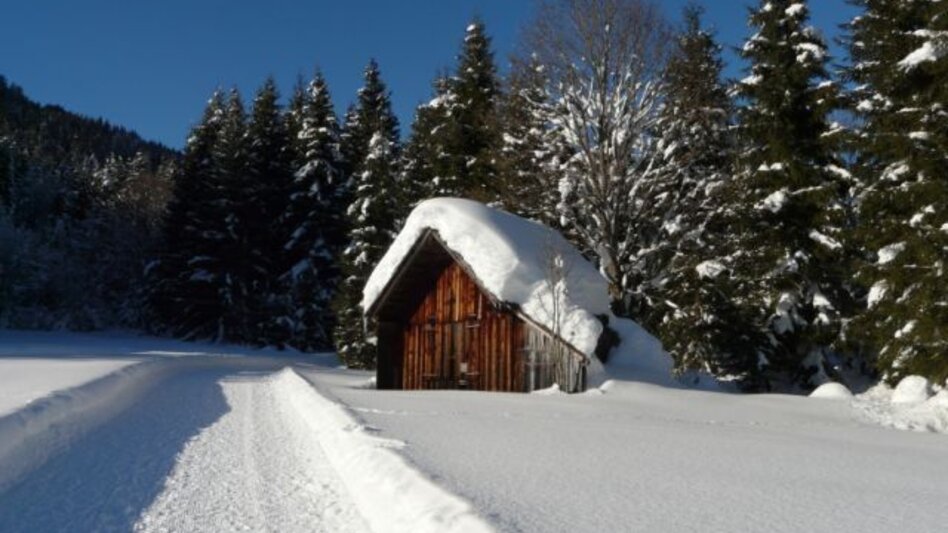 Winter Hiking Winter hike from the Loser Ski Arena to the Blaa Alm - Touren-Impression #2.5 | © Ausseerland