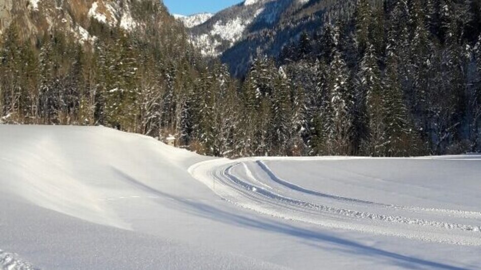Langlauf Skating Gößler Loipe - Touren-Impression #2.3 | © Ausseerland