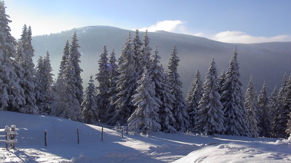Winter Hiking Kleinlachtalhütte - Touren-Impression #2.2 | © Tourismusverband Murau