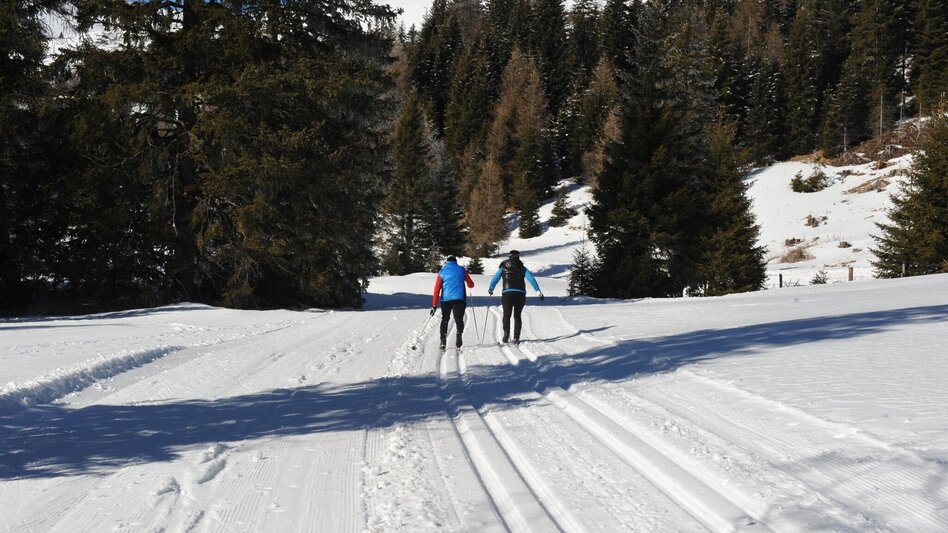 Langlauf Skating Höhenloipe Lachtal - Touren-Impression #2.1 | © Tourismusverband Murau