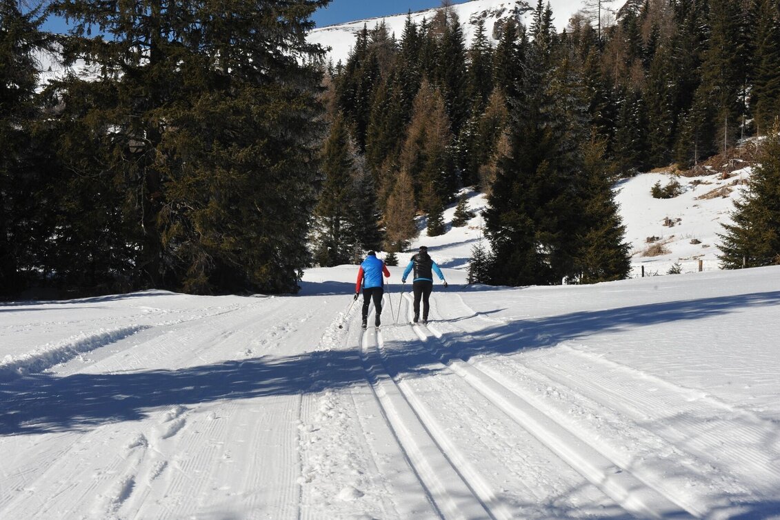 Langlauf Skating Höhenloipe Lachtal - Touren-Impression #1 | © Tourismusverband Murau
