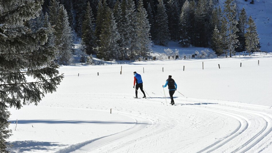 Langlauf Skating Höhenloipe Lachtal - Touren-Impression #2.2 | © Tourismusverband Murau