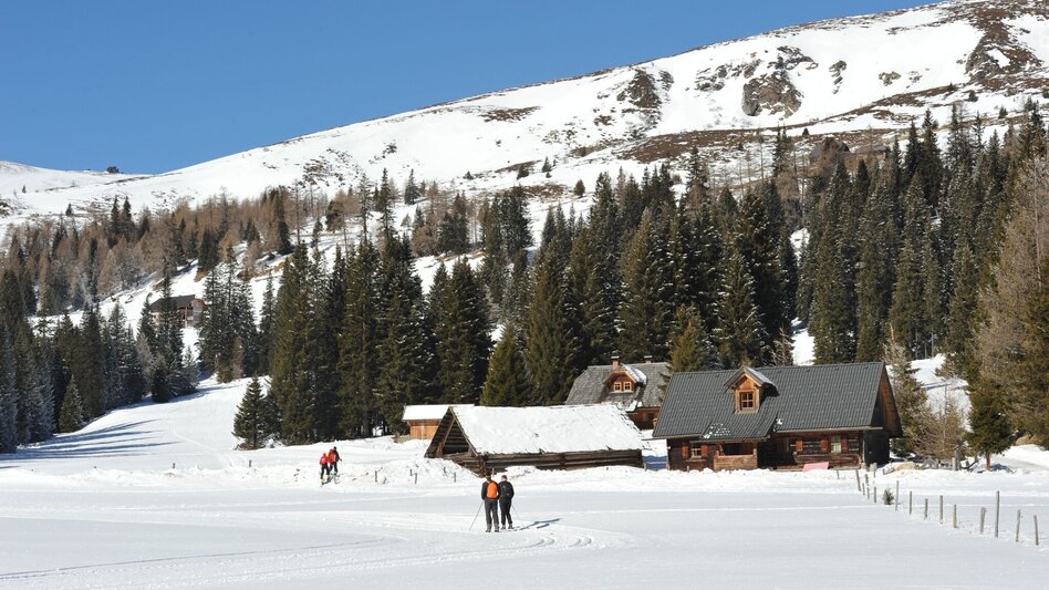 Langlauf Skating Höhenloipe Lachtal - Touren-Impression #2.3 | © Tourismusverband Murau