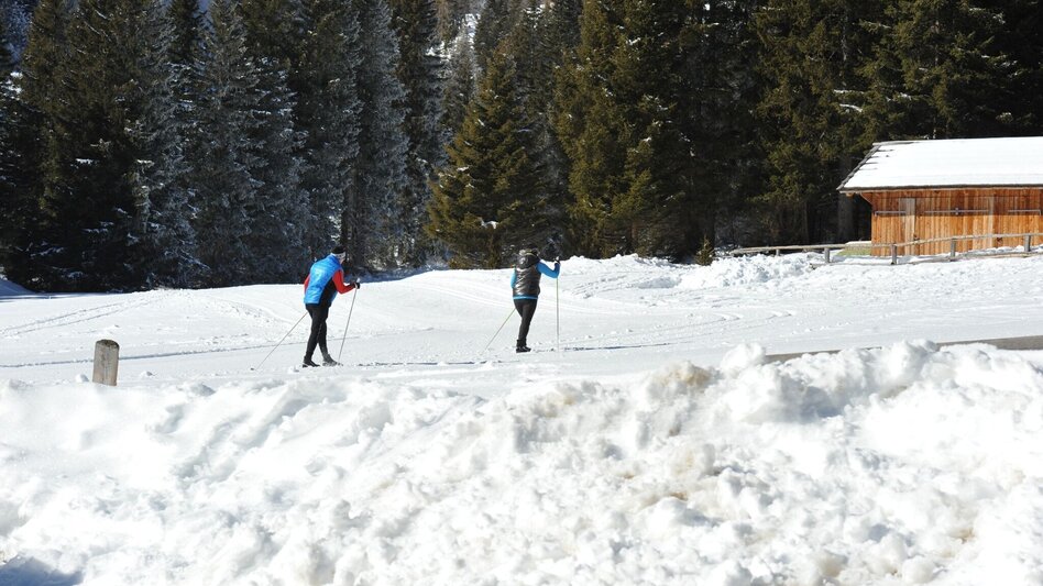 Langlauf Skating Höhenloipe Lachtal - Touren-Impression #2.4 | © Tourismusverband Murau