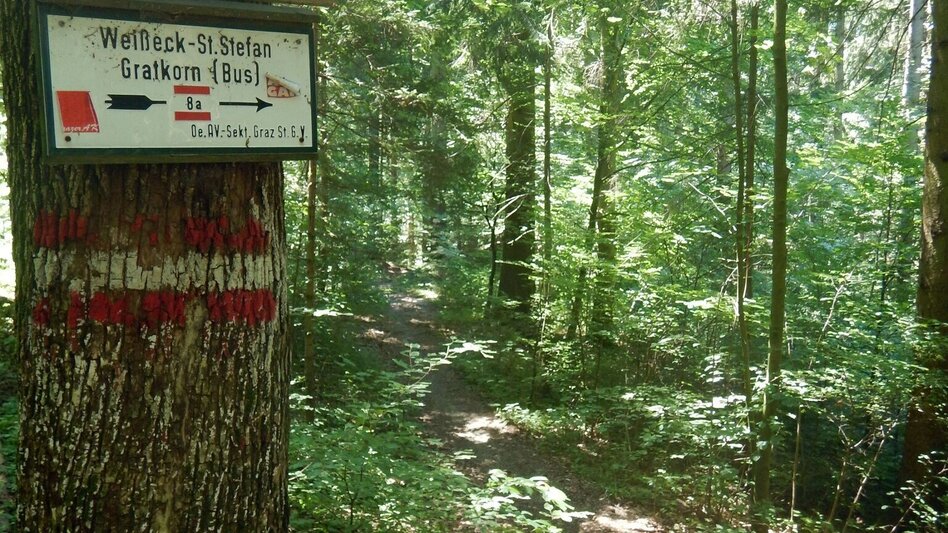 Hiking route Gratkorn circular hike - Touren-Impression #2.2 | © Region Graz