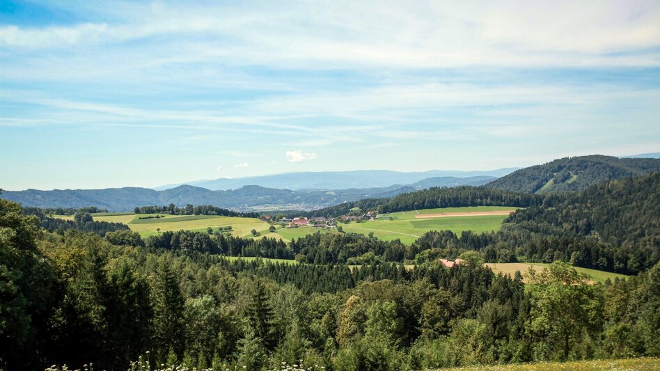 Hiking route Friesach – Ferstlhöhe – Gratkorn - Touren-Impression #2.6 | © Region Graz