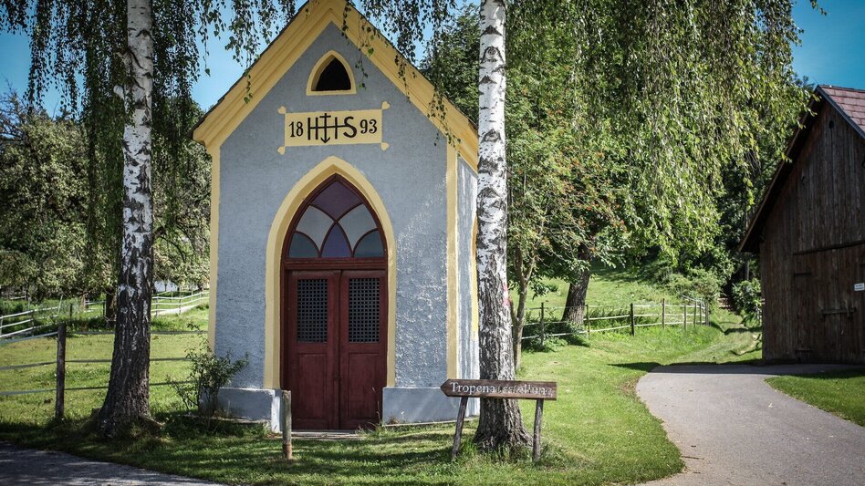 Hiking route Friesach – Ferstlhöhe – Gratkorn - Touren-Impression #2.7 | © Region Graz
