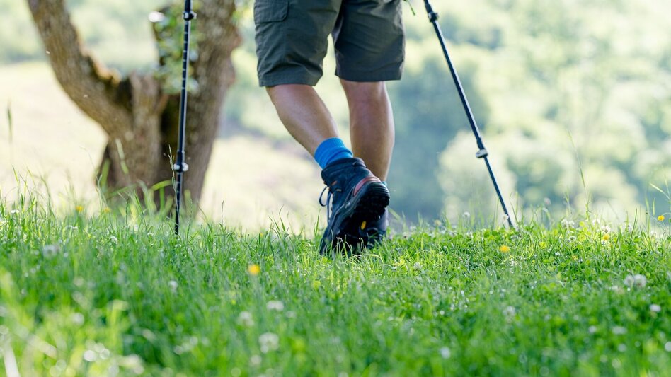 Hiking route Friesach – Ferstlhöhe – Gratkorn - Touren-Impression #2.13 | © Region Graz