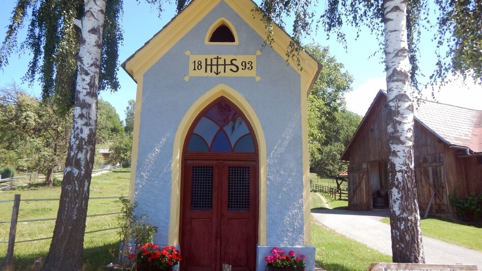 Mountainbike WM-Luft auf der hohen Rannach - Touren-Impression #2.2 | © Region Graz
