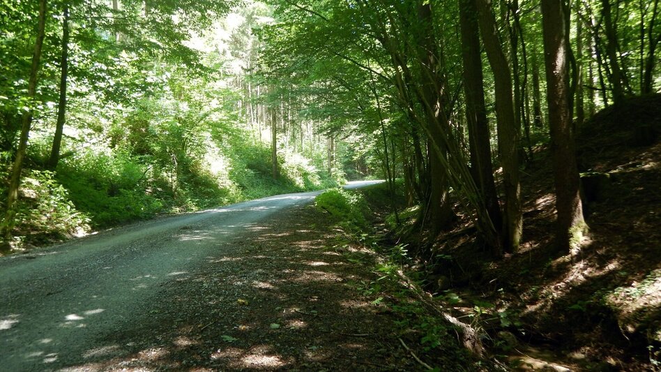 Mountainbike WM-Luft auf der hohen Rannach - Touren-Impression #2.3 | © Region Graz