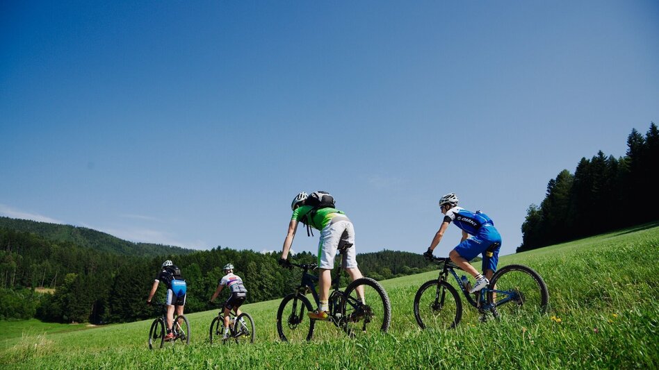Mountainbike WM-Luft auf der hohen Rannach - Touren-Impression #2.6 | © Region Graz